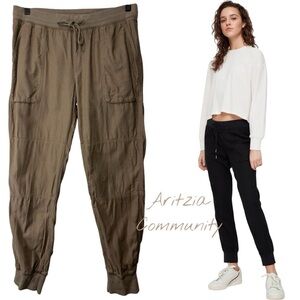 Aritzia Community Ion Pant size S